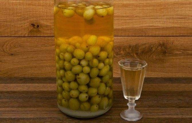 Ликеры и наливки из крыжовника – 6 отличных рецептов!