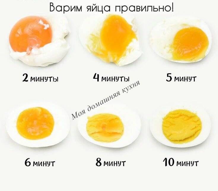 Сколько яиц можно съедать в день без вреда для здоровья