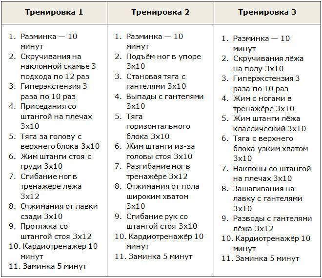 6-ти дневная программа тренировок от арнольда шварценеггера