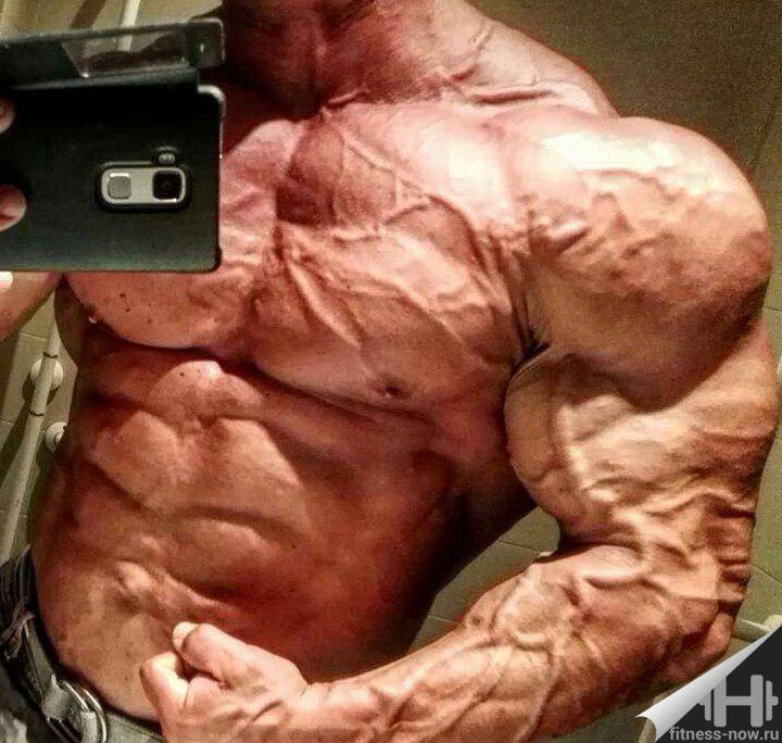 Для чего нужна венозность в бодибилдинге?