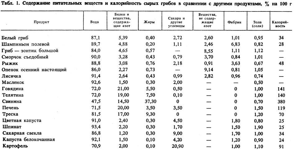 Калорийность портобелло, грибы. химический состав и пищевая ценность