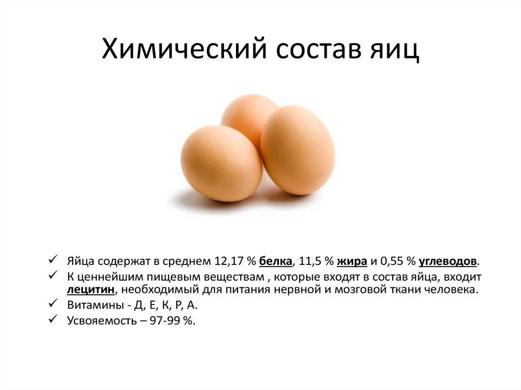Яйца: полезные свойства, противопоказания, польза и вред
