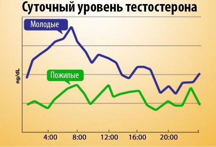 Как связаны выпадение волос и тестостерон? самый главный мужской гормон: все, что вы хотели знать о тестостероне