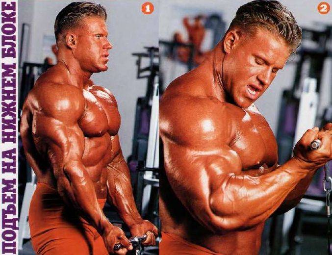 Dennis Wolf Jay Cutler