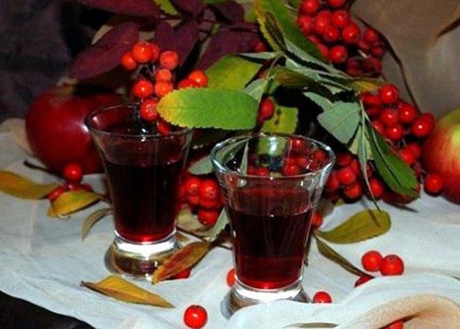 Вино из черноплодной рябины (аронии) в домашних условиях