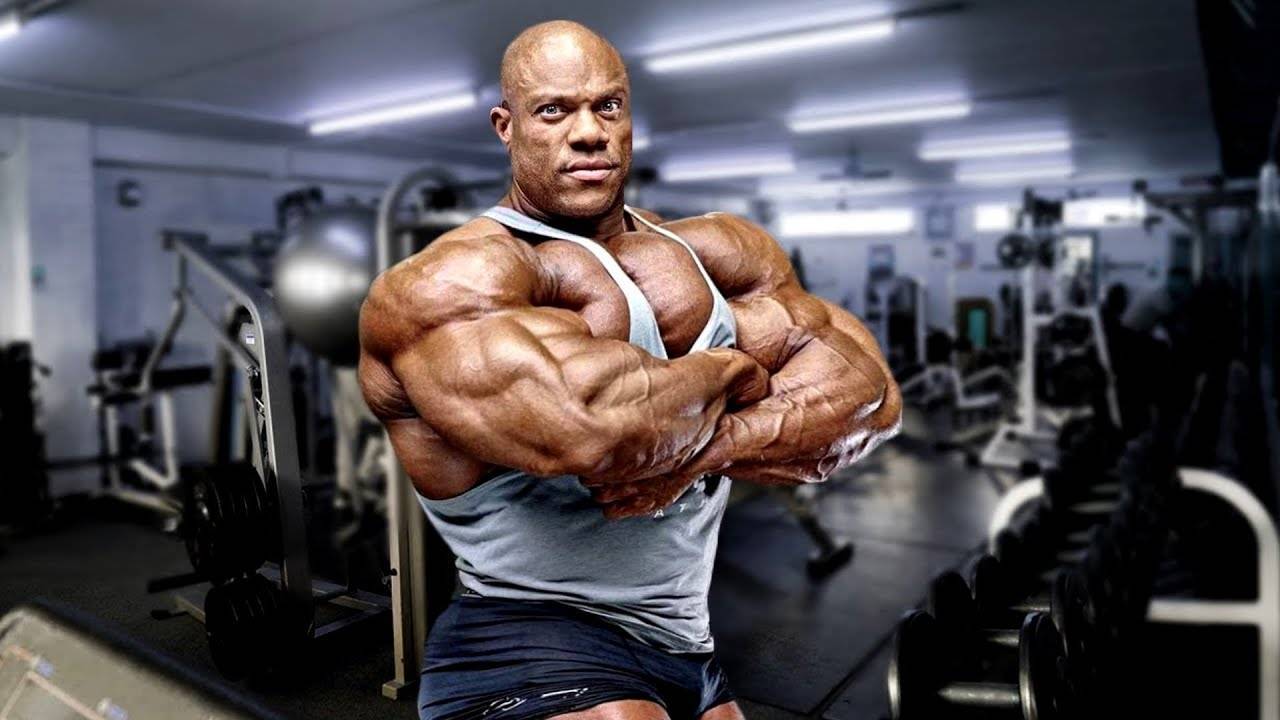 Как тренироваться натуралу, базовые принципы тренировок