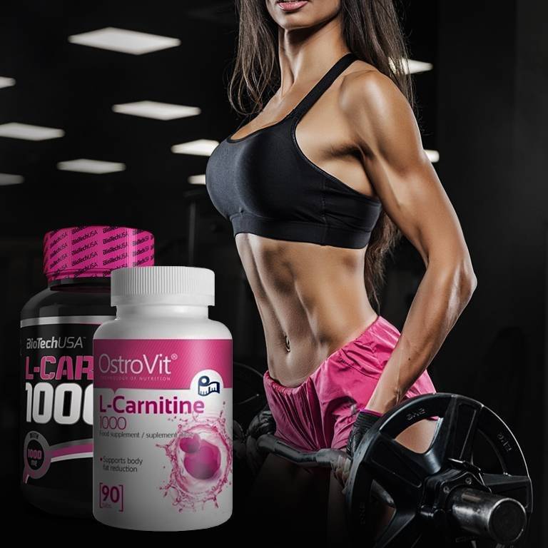 Какое спортивное питание для сжигания жира лучше: жиросжигатели, подавители аппетита, термодженики или заменители пищи