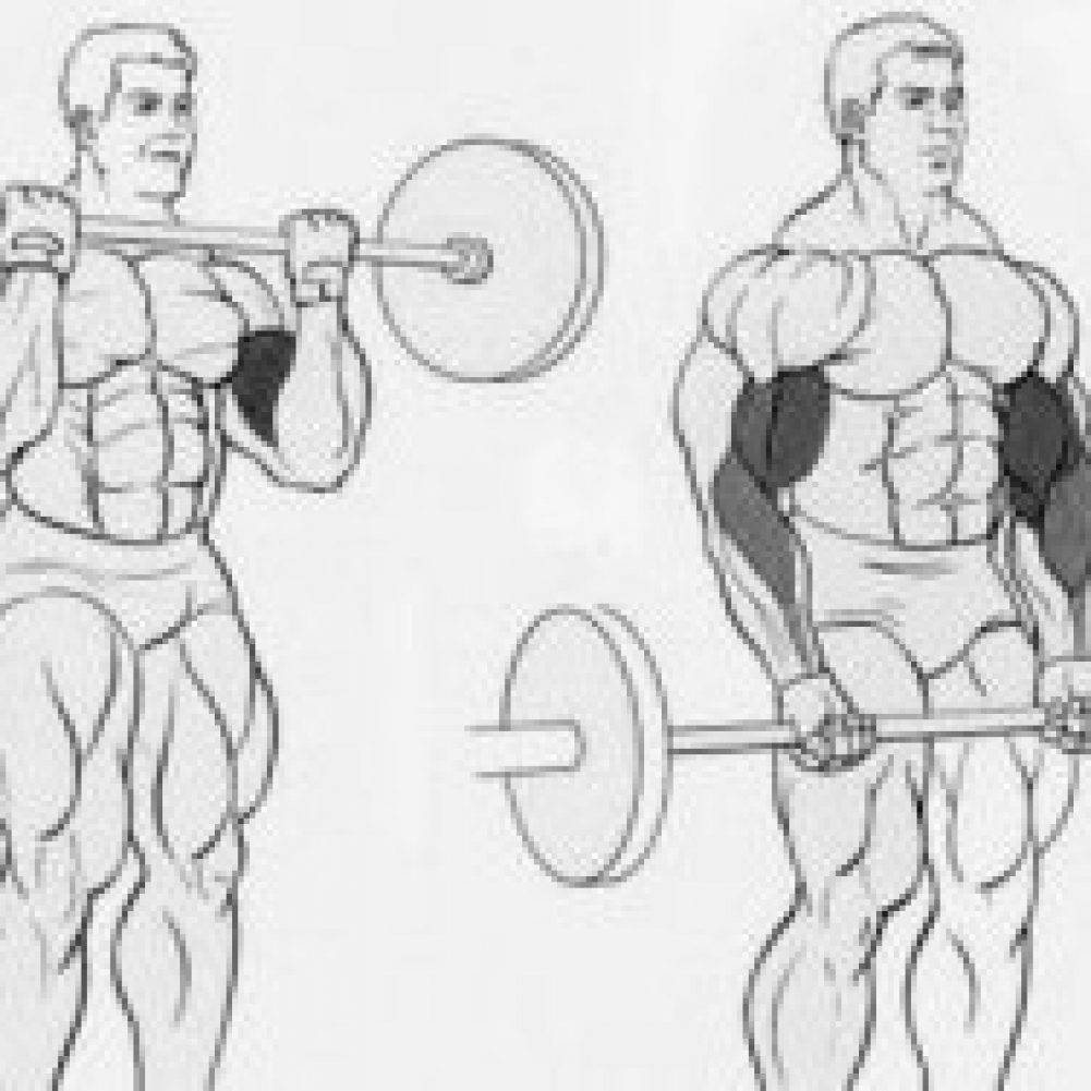 Как накачать бицепс? главные правила тренировки и программа упражнений