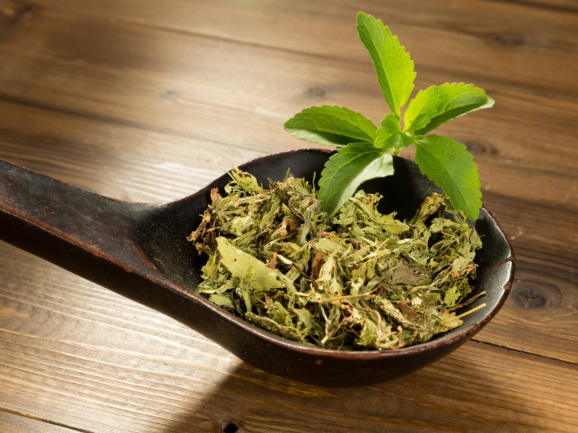 Всё о пользе и вреде сахарозаменителя стевия