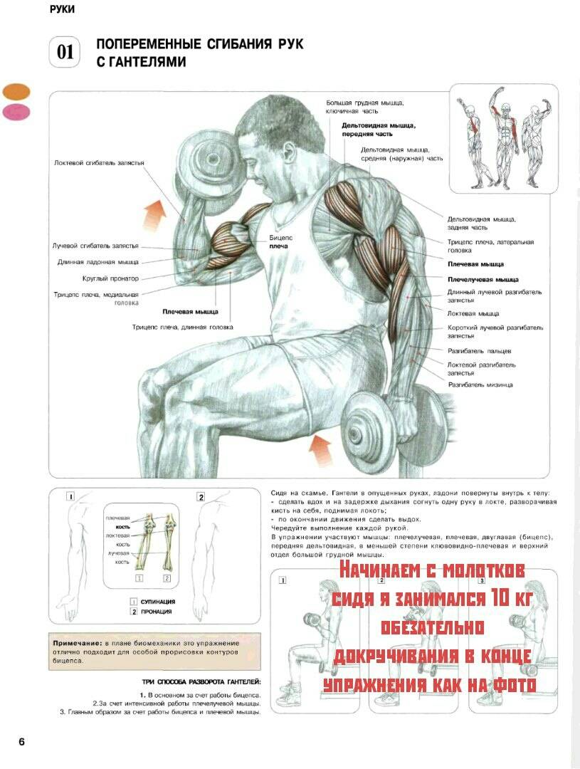 8 упражнений для рук, которые стоит попробовать