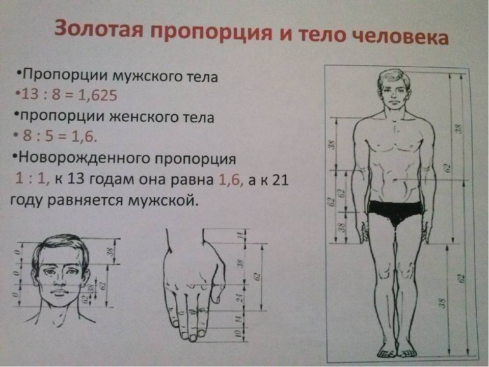 Как посчитать пропорции изображения