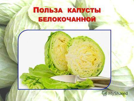 Белокочанная капуста: польза и вред, лечебные свойства | пища это лекарство
