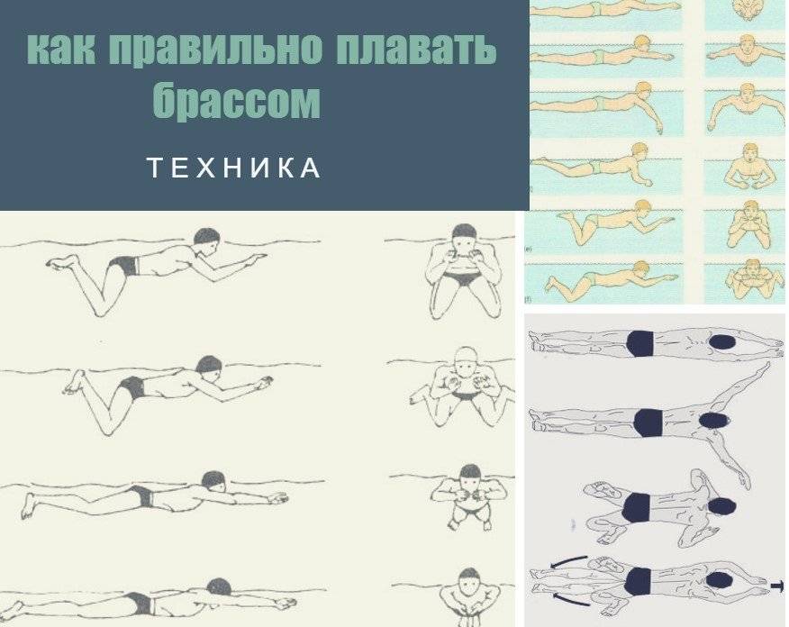 Как научиться плавать взрослому самостоятельно за 30 минут