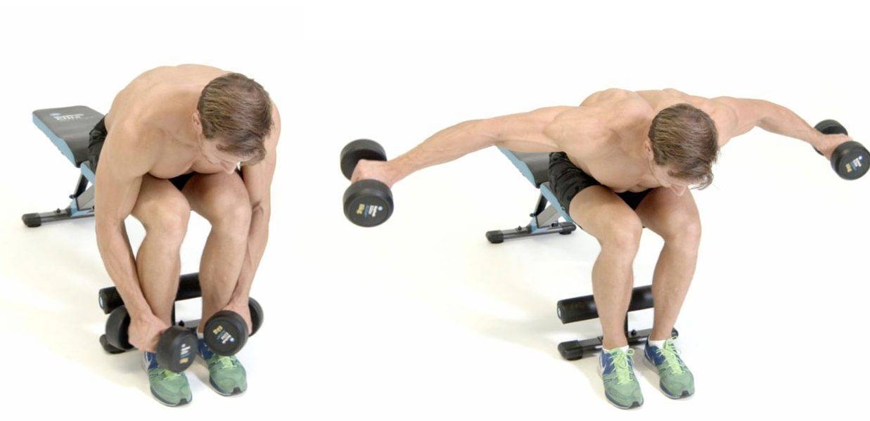 Жим гантелей на наклонной скамье: правильная техника, ошибки