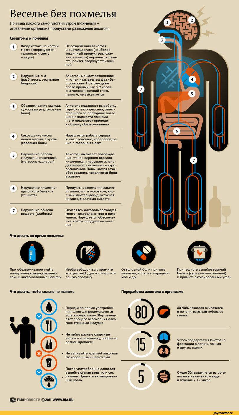 Польза алкоголя на организм человека + 10 фактов и видео