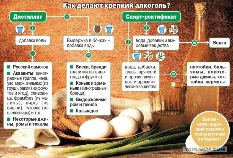 Что такое спирт ректификат его отличия от дистиллята