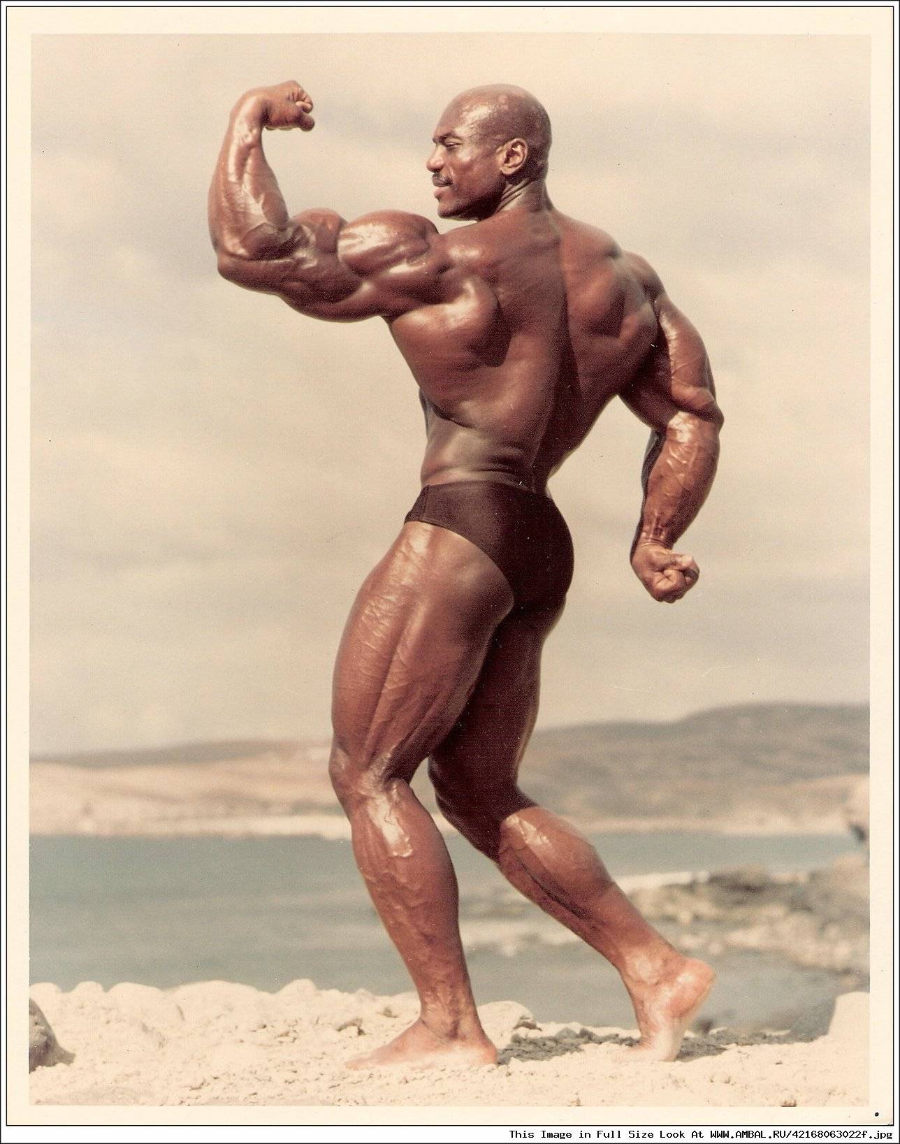 Авторизация...