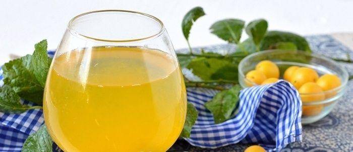 Вино из алычи: 3 рецепта в домашних условиях