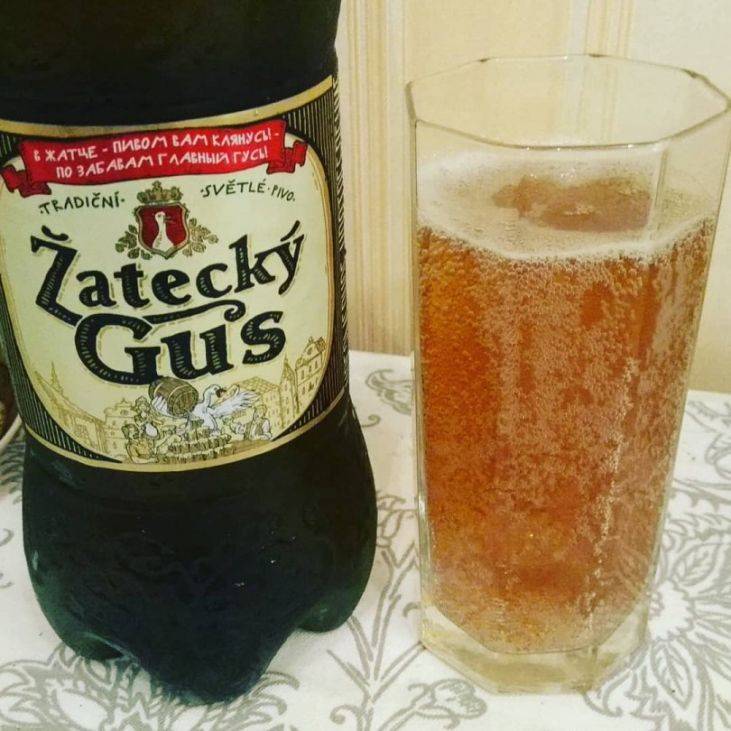 Пиво жатецкий гусь: история, виды и короткие обзоры