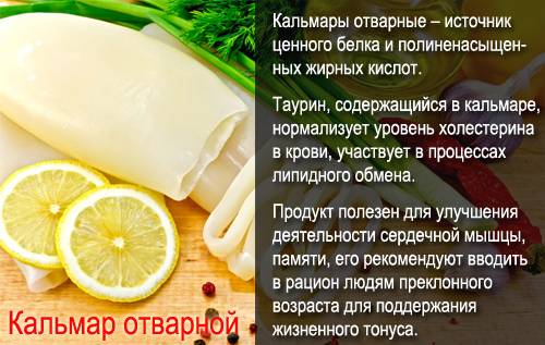 Кальмары: польза и вред для здоровья организма женщин и мужчин