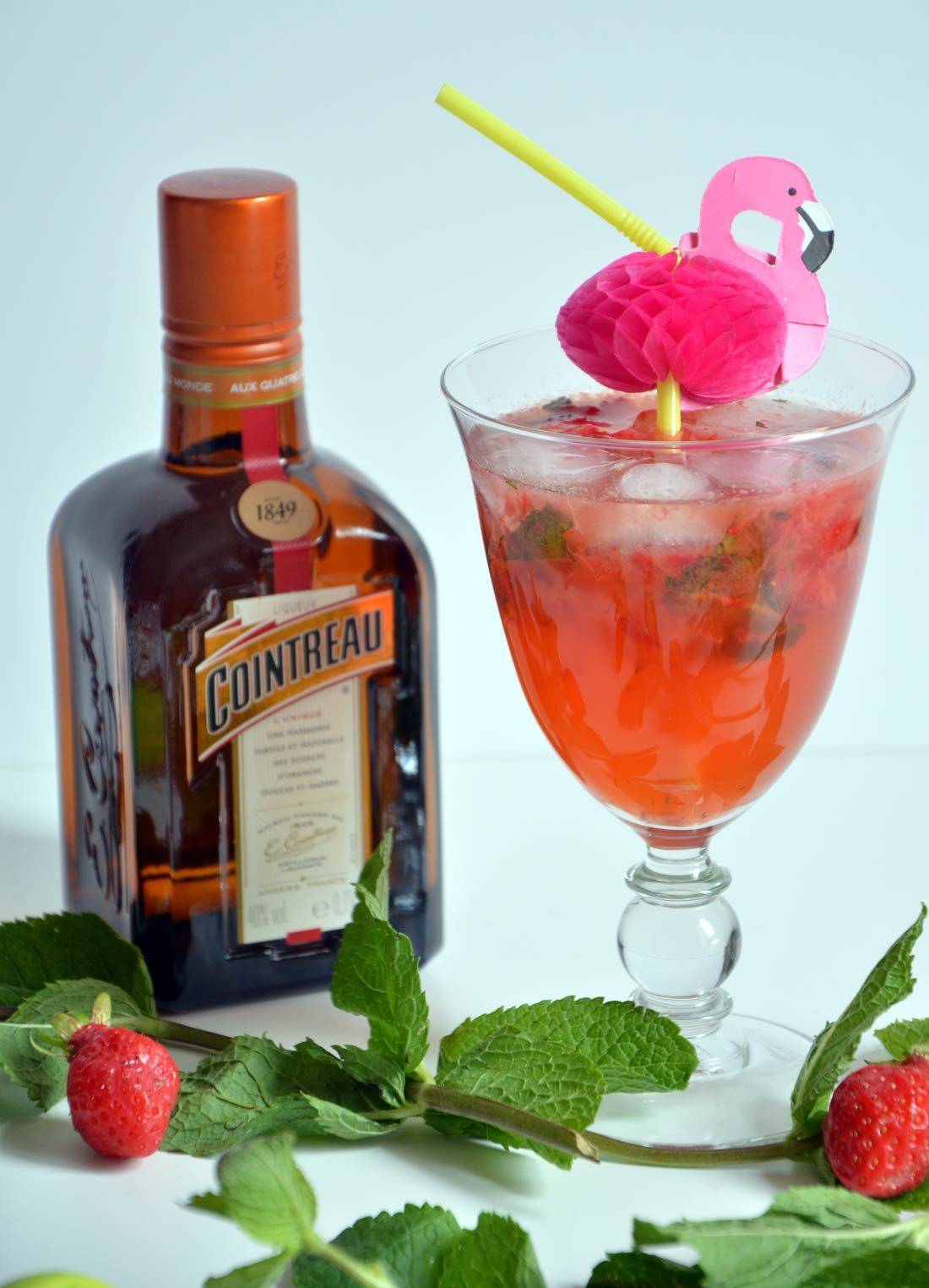 Кэроланс: обзор ликера, как пить + 5 рецептов коктейлей