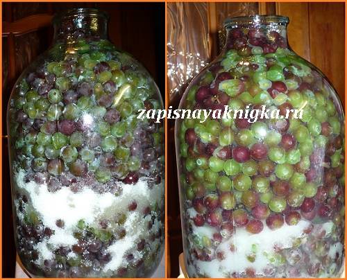 Рецепты виноградных наливок