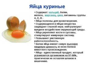 Сырые яйца - польза или вред, если пить их каждый день?| пути к здоровью