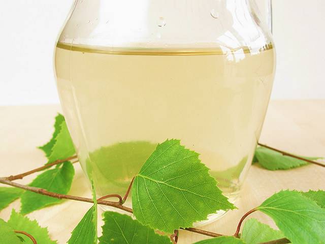 13 лучших рецептов напитков из березового сока на зиму | дачная кухня (огород.ru)