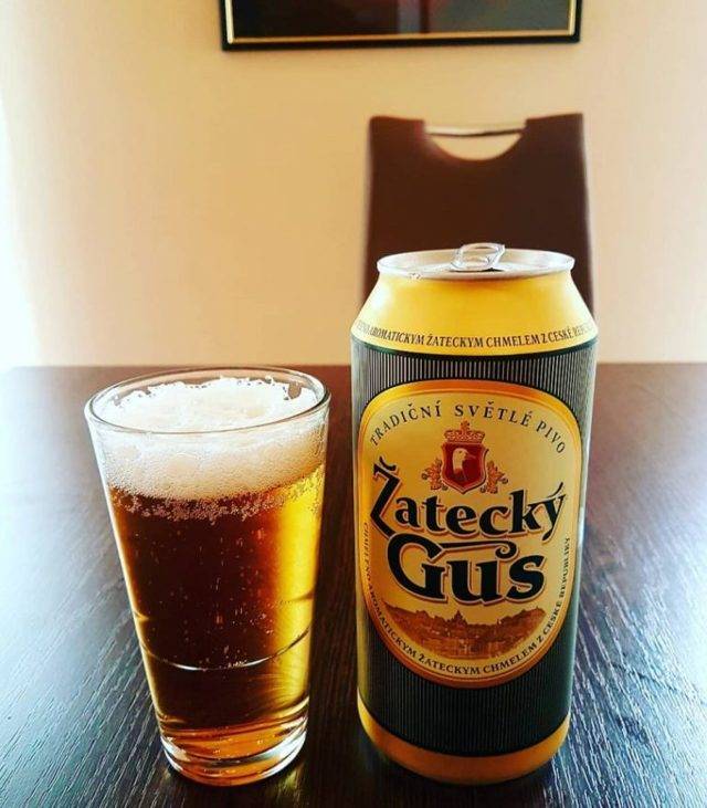 Псевдо-"жатецкий гусь" / регионы россии / независимая газета