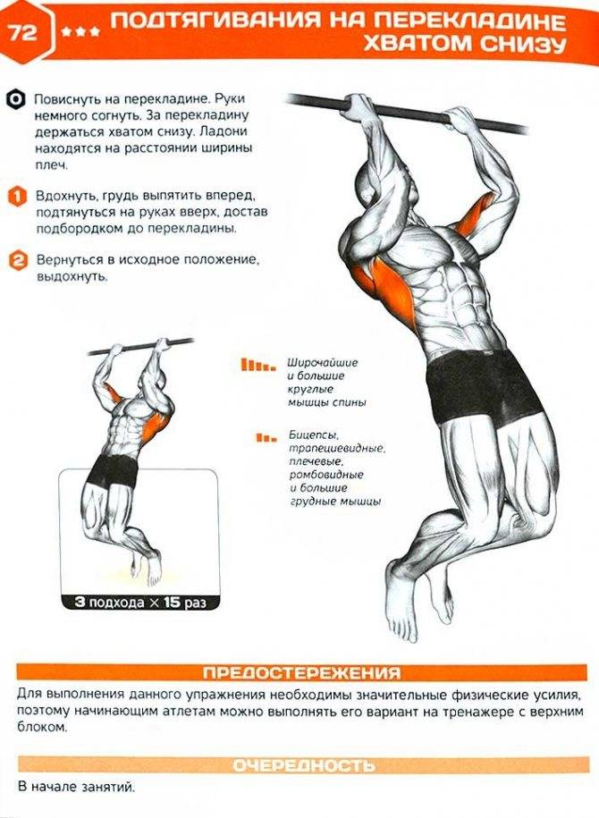 Подтягивания: все виды и техника выполнения