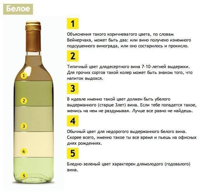 Турецкая водка раки из аниса — обзор легендарного напитка