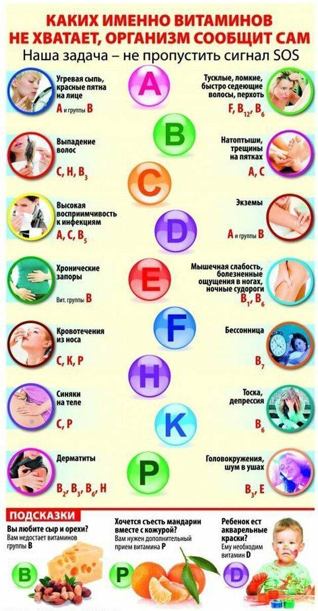 Какие витамины лучше принимать: самые хорошие и эффективные марки