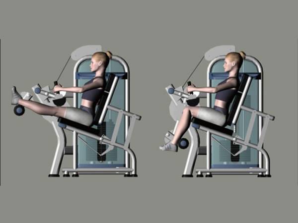 Сведение ног в тренажере: техника выполнения, какие мышцы работают