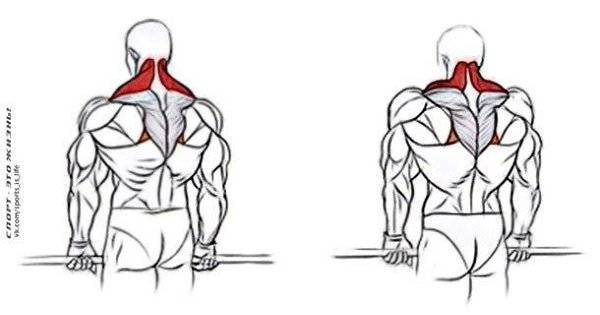 Как накачать трапецию | как накачать | новичку