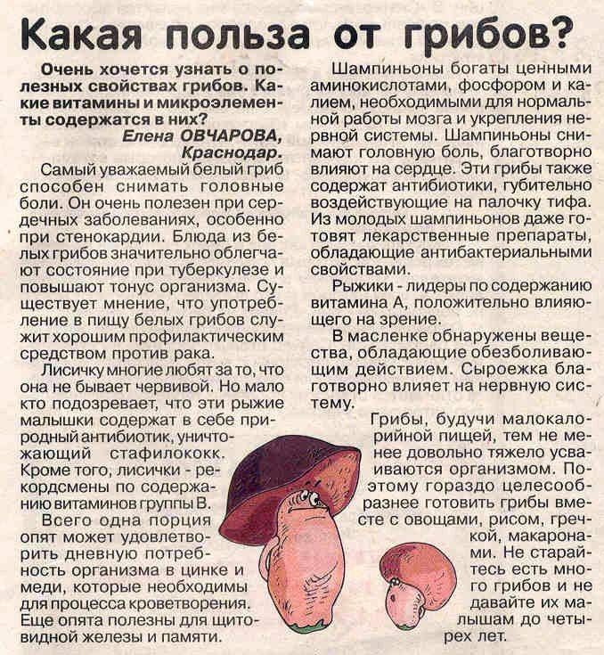 Вредные продукты питания: список, самая полезная и вредная еда для здоровья человека, опасные вещества