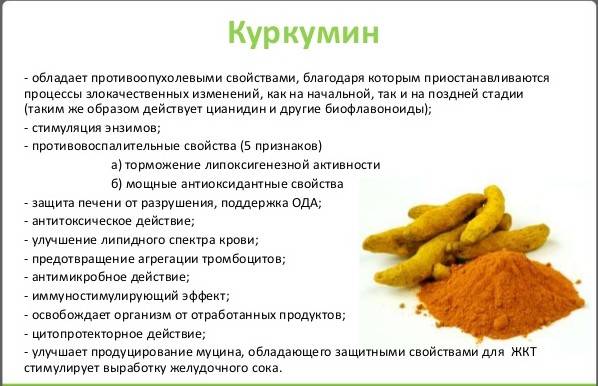 Полезен или вреден имбирь для печени