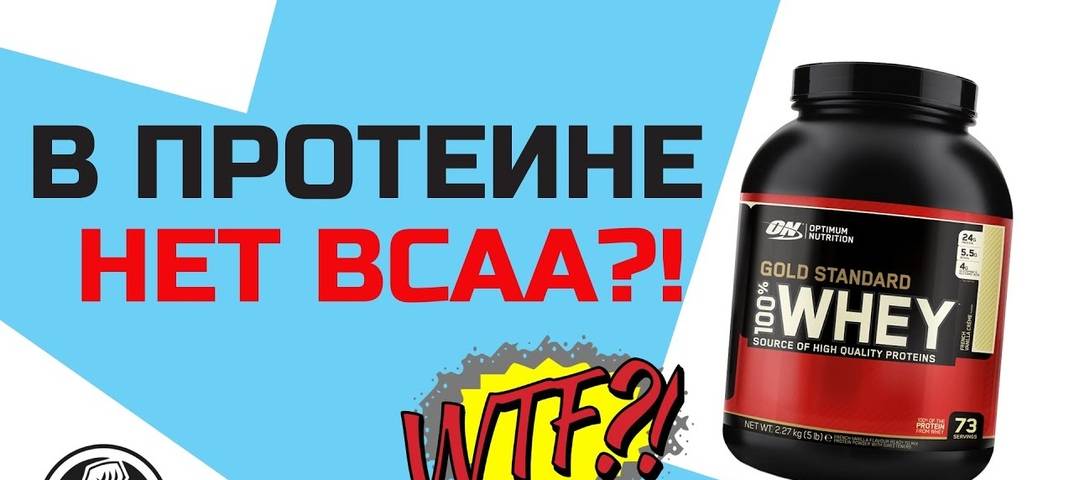 Bcaa или протеин: сравнение, что и для кого лучше | в чем разница