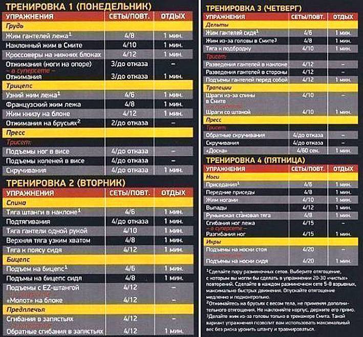 Программа тренировок для начинающих мужчин в тренажерном зале