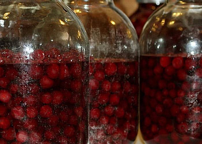 Вишневая настойка: 10 рецептов в домашних условиях