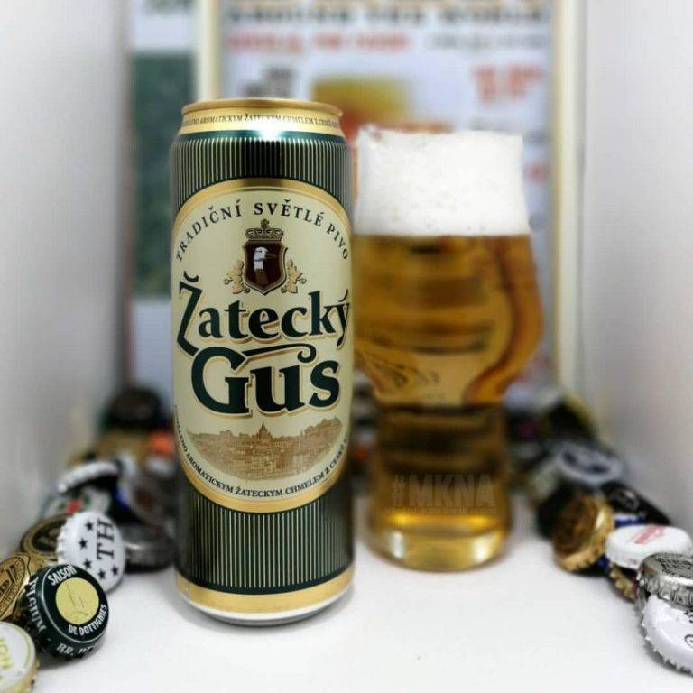 Пиво жатецкий гусь и его особенности