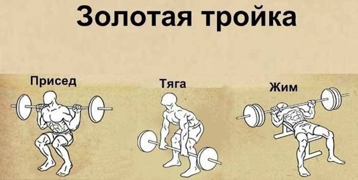 Как эффективно наладить тренировочный процесс