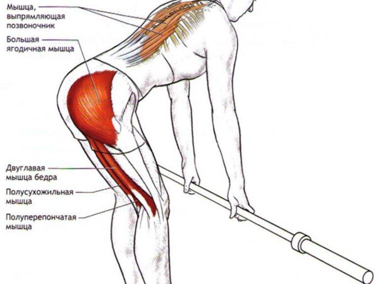 Становая тяга - как правильно делать, виды и техника