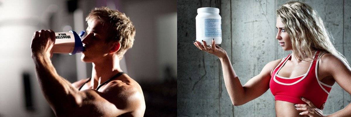 Вреден ли протеин? мифы о спортивном питании...