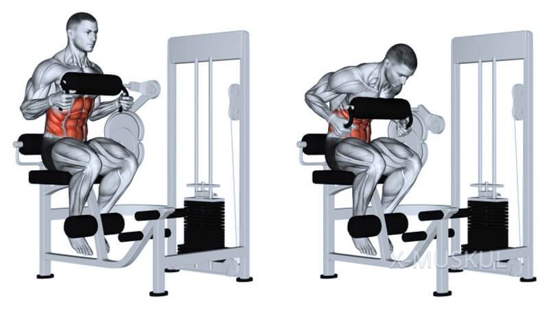 Скручивания на пресс: виды и техника выполнения упражнений