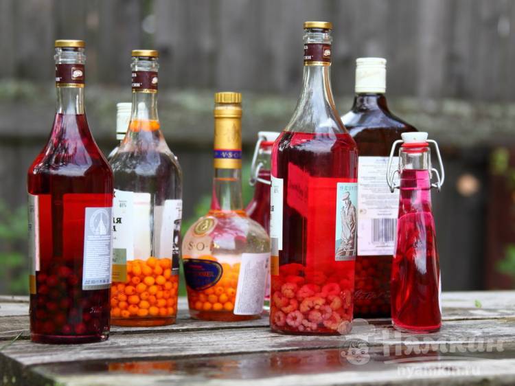 Рецепт приготовления настойки на барбарисе