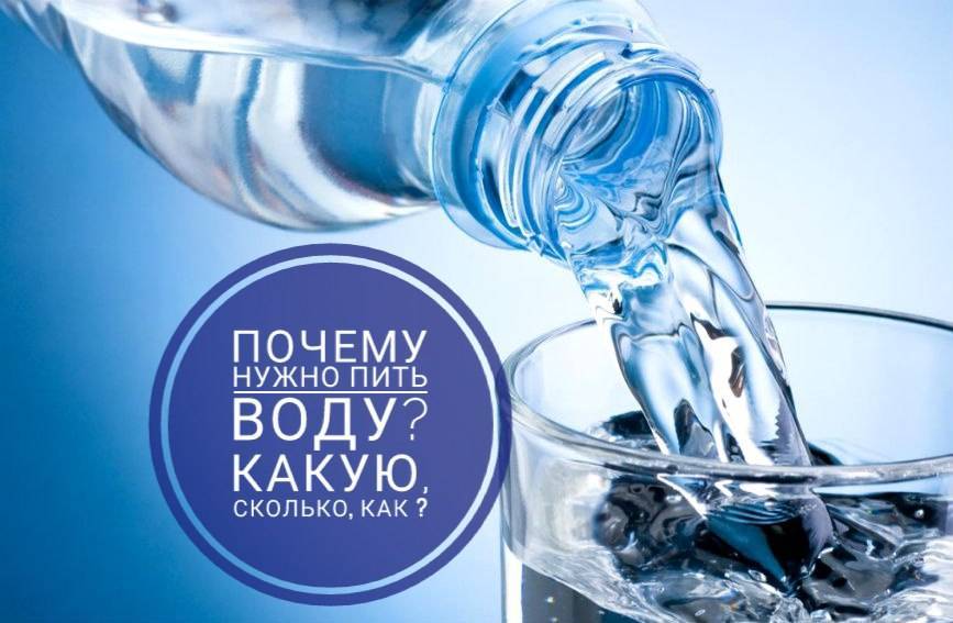 Питание для начинающего бодибилдера: основы правильного питания