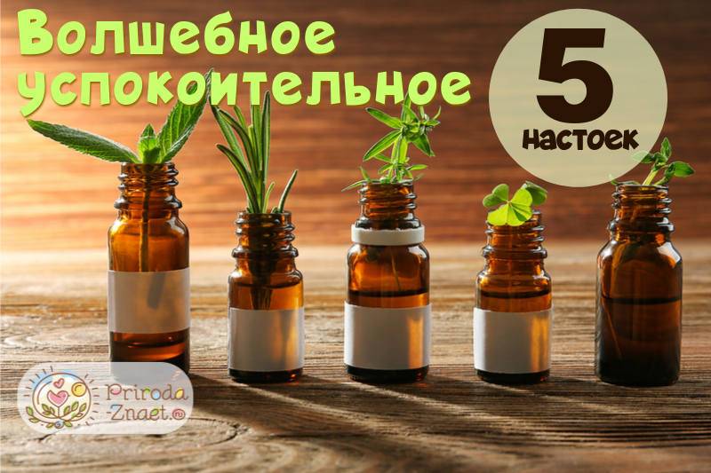 Настойка из 5 компонентов — валерьянки, пустырника, пиона, боярышника и корвалола