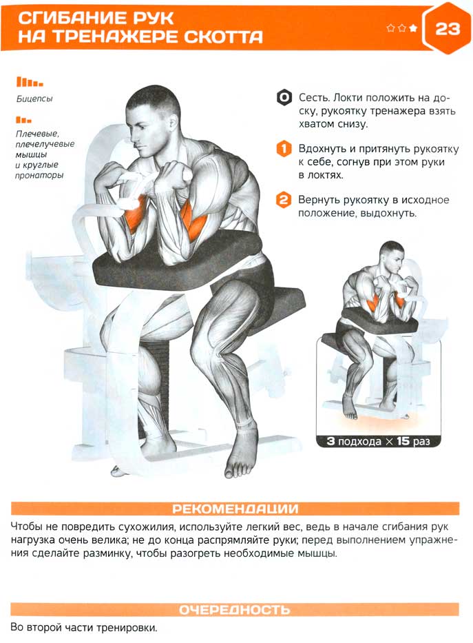 Подъем штанги на бицепс: техника выполнения, ошибки