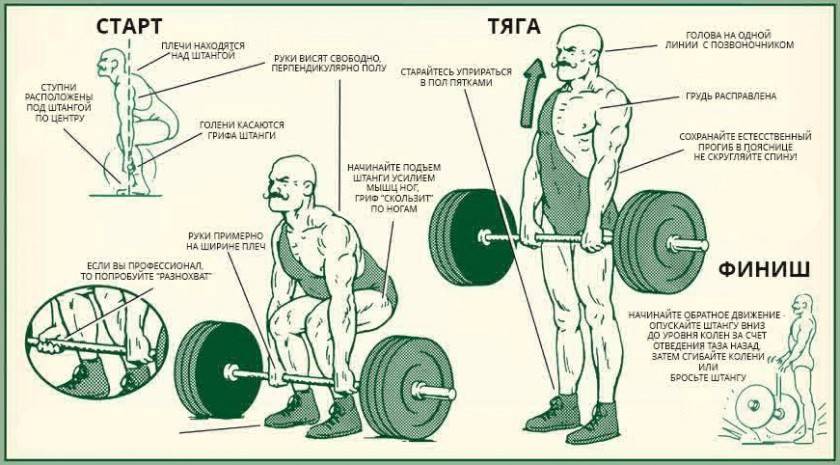 Мёртвая тяга - техника и особенности её выполнения