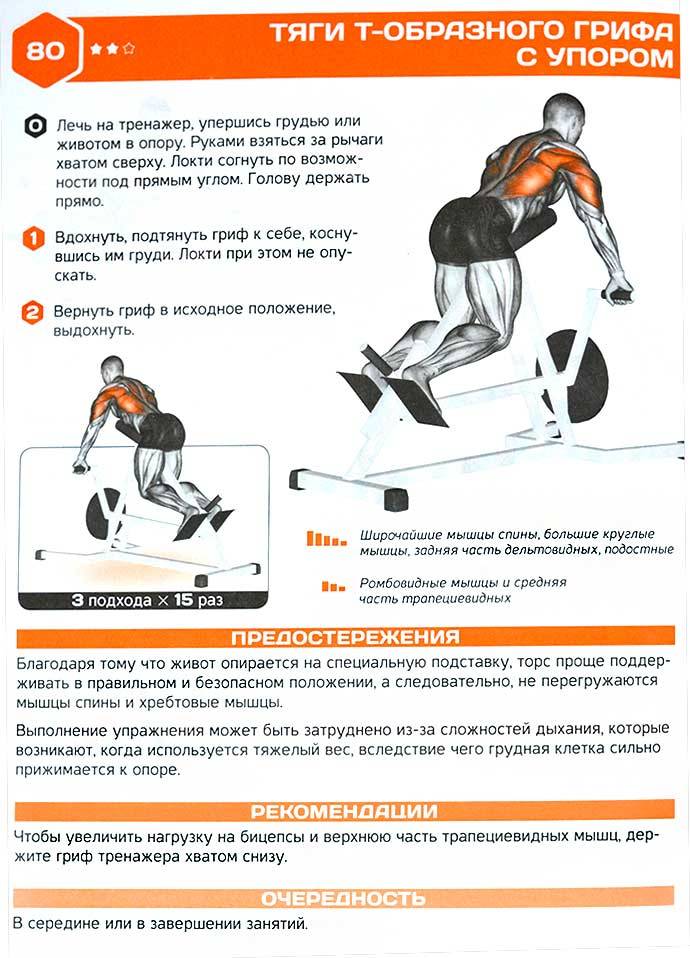 Тяга штанги к поясу: варианты и техника выполнения